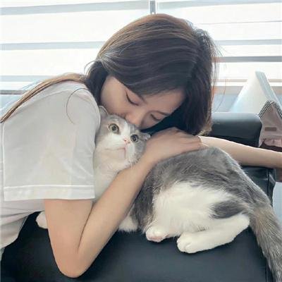 选举追缉令